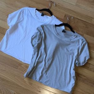 Two Wild Fable Crop Tees - Greige and White